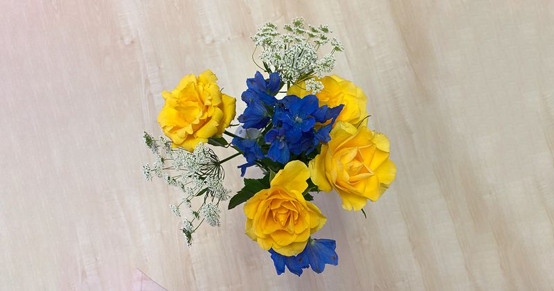 TALKING ABOUT SUBJECTS THAT ARE UNCOMFORTABLE