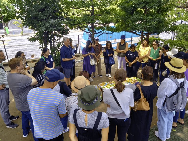 TAIP Newsletter - Issue 13