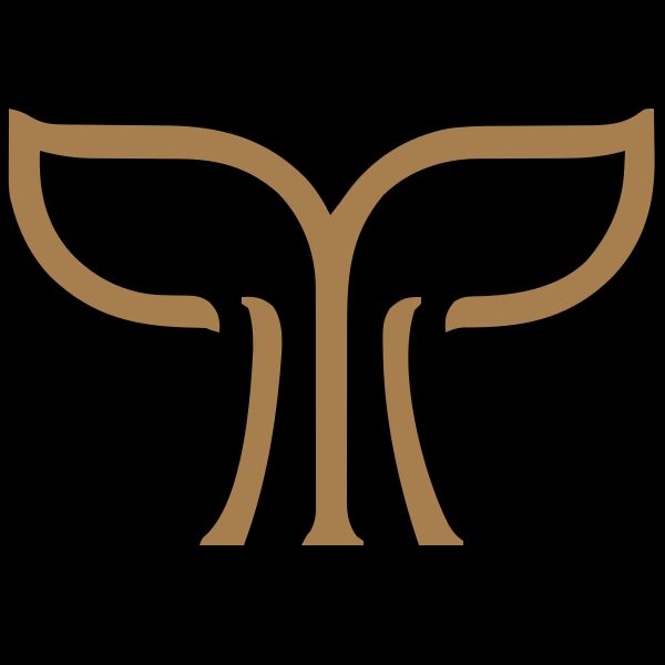 Atelier Balena Kindergarten